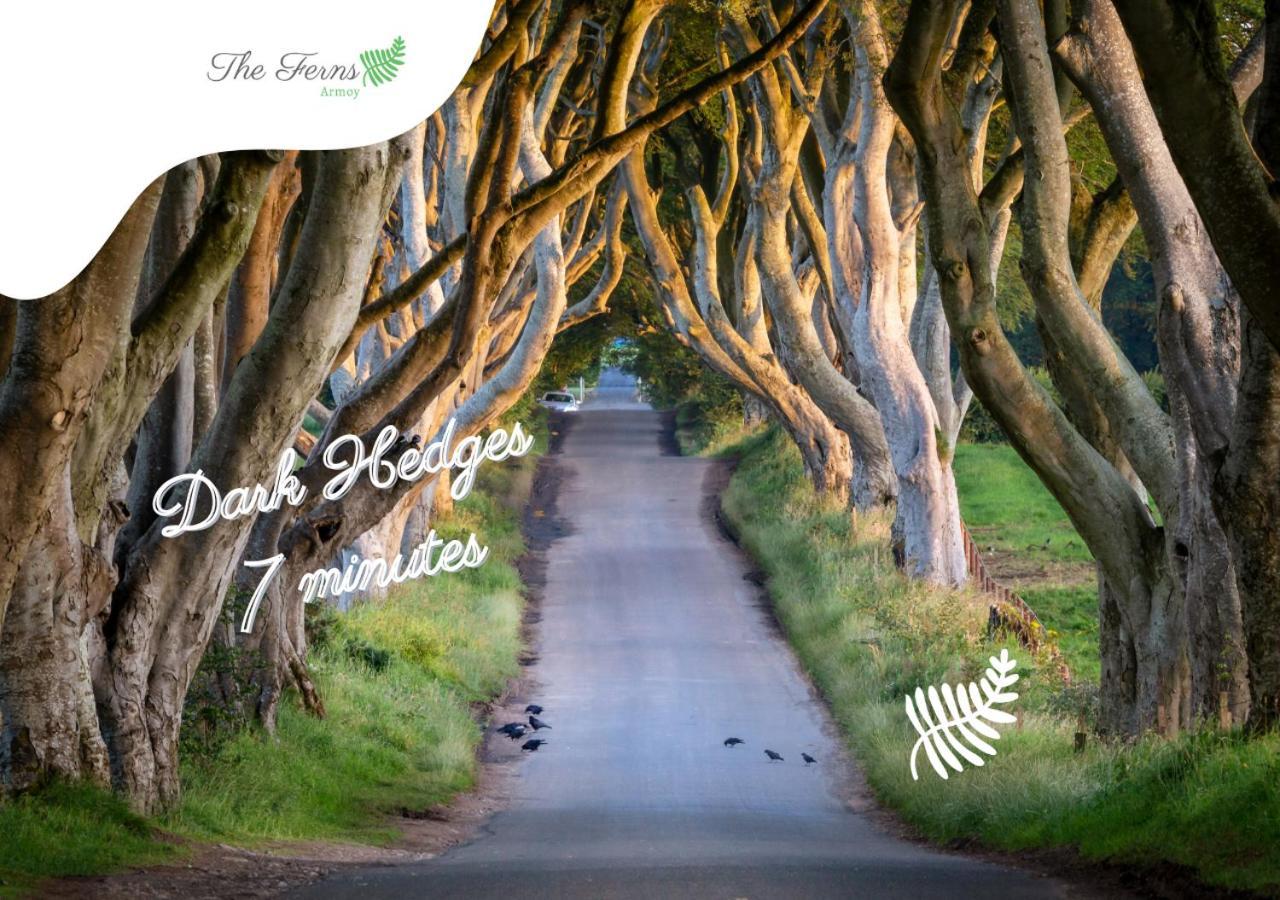 The Ferns-ideal Base For Exploring The Causeway Coast * Armoy